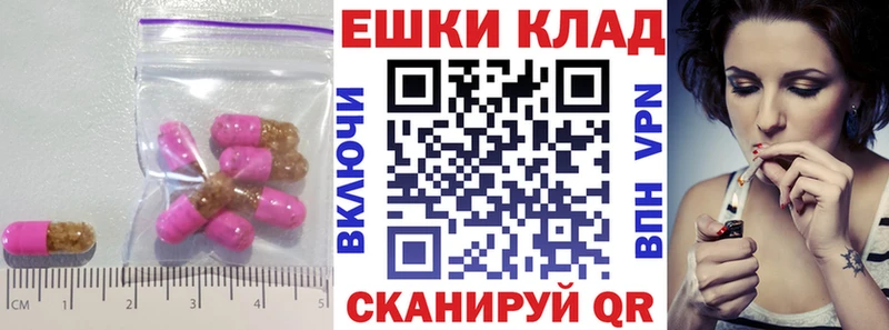 Ecstasy Philipp Plein  Гудермес 