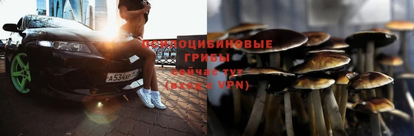 твердый Бронницы