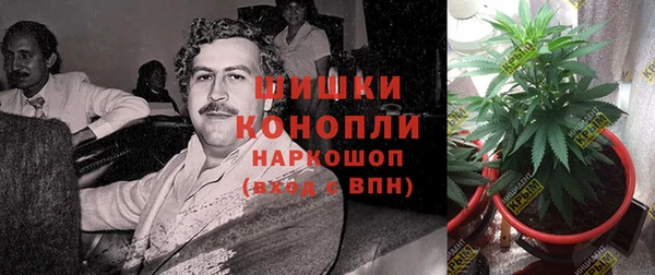 твердый Бронницы