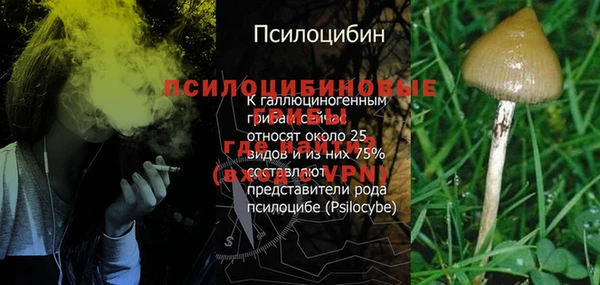 бутират Бугульма