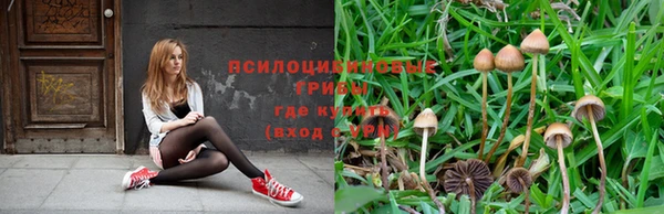 твердый Бронницы