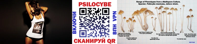 Псилоцибиновые грибы MAGIC MUSHROOMS  Гудермес 